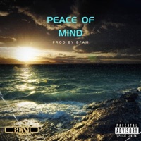 Peace of Mind - Single - Bfam