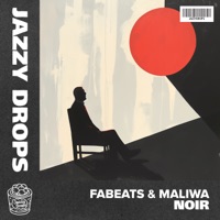 Noir - Single - fabeats & MALIWA
