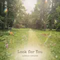 Look for You