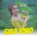 Gulo Jowo