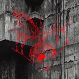 Sacrifice A Pretty Girls Tears (KNTRLVRLST Remix) ✧BRAINDAAMAGE✧