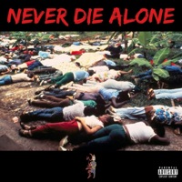 Never Die Alone - Wuzee
