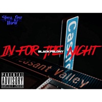 In For The Night - Single - Black Felony