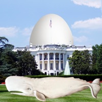 gametes - Single - kai c