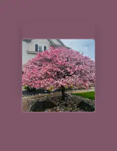 Listen to Mr Ismael, watch music videos, read bio, see tour dates & more!