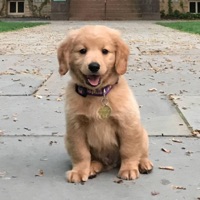 Decisions - Single - Tera