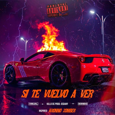 SI TE VUELVO A VER (feat. Osdany) - Single