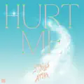 Hurt Me