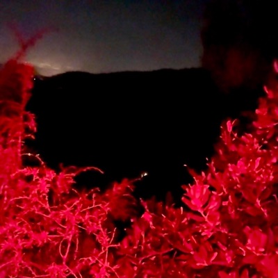 Band (feat. Trizio) - Single