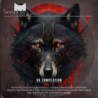 Containment - Single - Probe