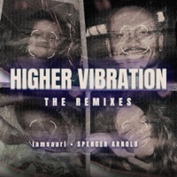 Higher Vibration - the Remixes - Single - Mark II, iamsaari, Aleesia & Spencer Arnold