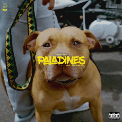 PALADINES X CARGHTY (feat. Adrian Montoya & Jolta) - Single