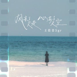 风来了又走心满了又空 王佳音