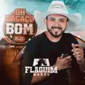 Você Não Sabe o Que é Amor