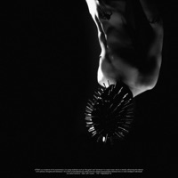 p høenix - Single - ATRXX