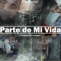 Parte De Mi Vida - Single - Bling Mike
