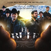 El Bule - Single - Los Bohemios de Sinaloa & Hijos De Barrón
