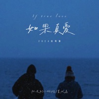 如果真爱 (2024说唱版) - Single - 队长的小斑鸠 & 夏以岛
