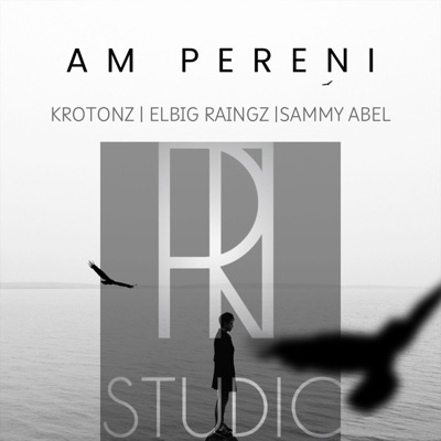 Am Pereni (feat. Krotons & Sammy Abel) - Single