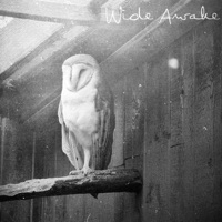 Wide Awake - Single - Dont Cry Please & Dante Riverz