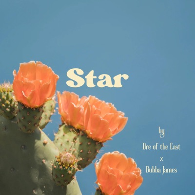 Star (feat. Bubba James) - Single