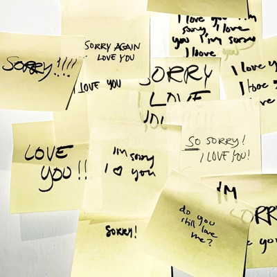 sorryiloveyou - Single