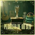 Pedacito De Mi Ser
