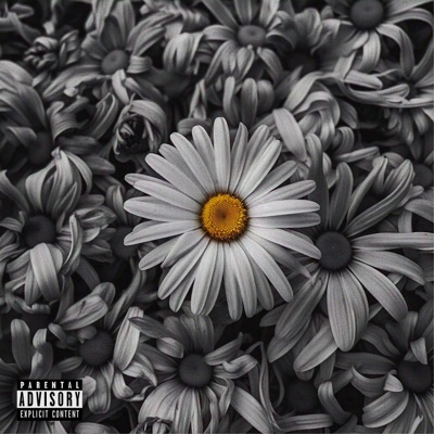 Aparição - Single