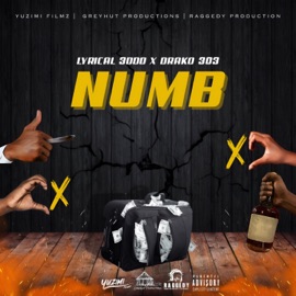 Numb (feat. Drako303) Lyrical 3ddd