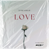 Victoria Noelle - In the Name of Love artwork