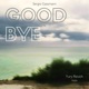 Goodbye feat Yury Revich Single