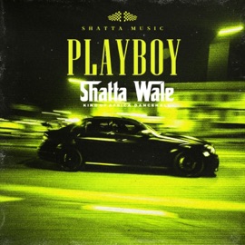 Playboy Shatta Wale