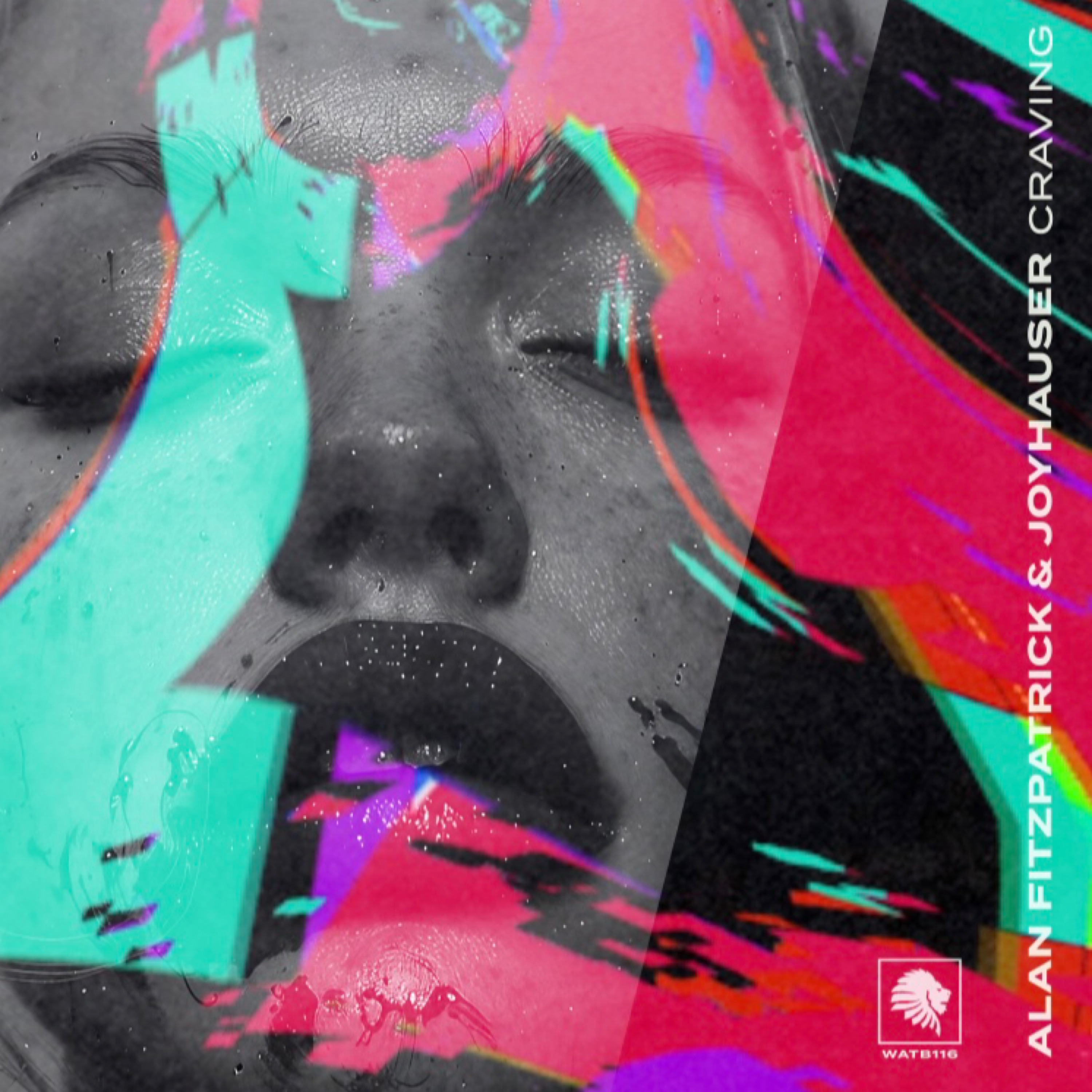 Alan Fitzpatrick / Joyhauser - Craving - %electro - %techno - %lille - 9autsdefrance