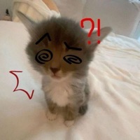 mindmybusiness - Single - Violxt Flowers