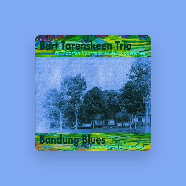 Bart Tarenskeen Trio's avatar