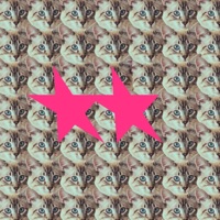 miedo - Single - Allan Grank