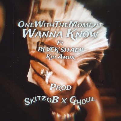 Wanna Know (feat. BLVCK SHÆP & Kid Amor) - Single