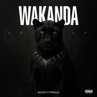 WAKANDA (feat. Princè45) - Single - Realteec