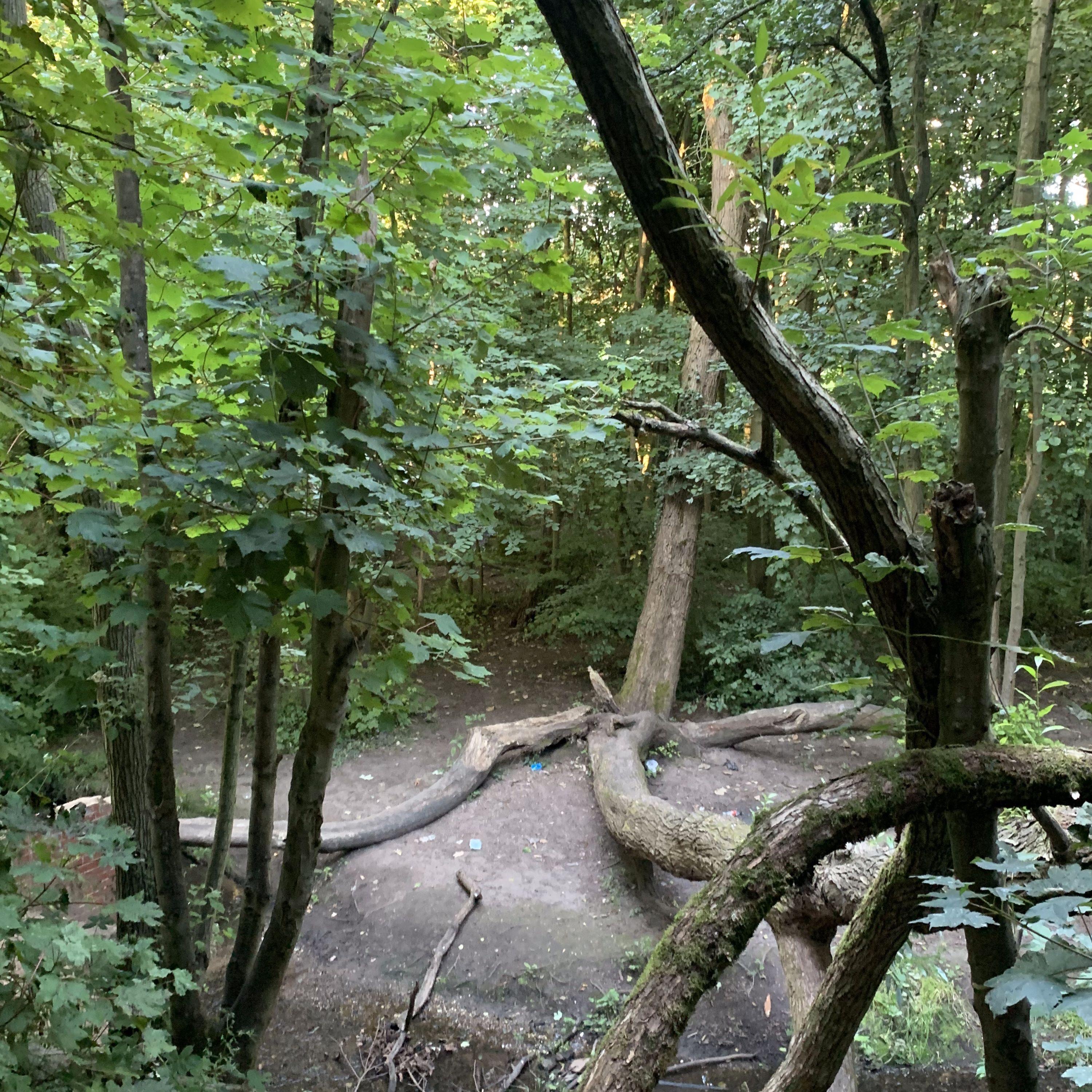 better off without me - Single