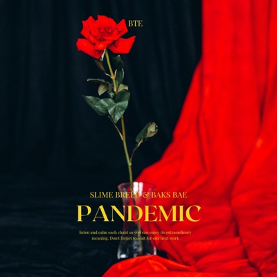 Pandemic (feat. Baks Wavvy) - Single
