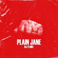Plain Jane - Single - DJ Fluke