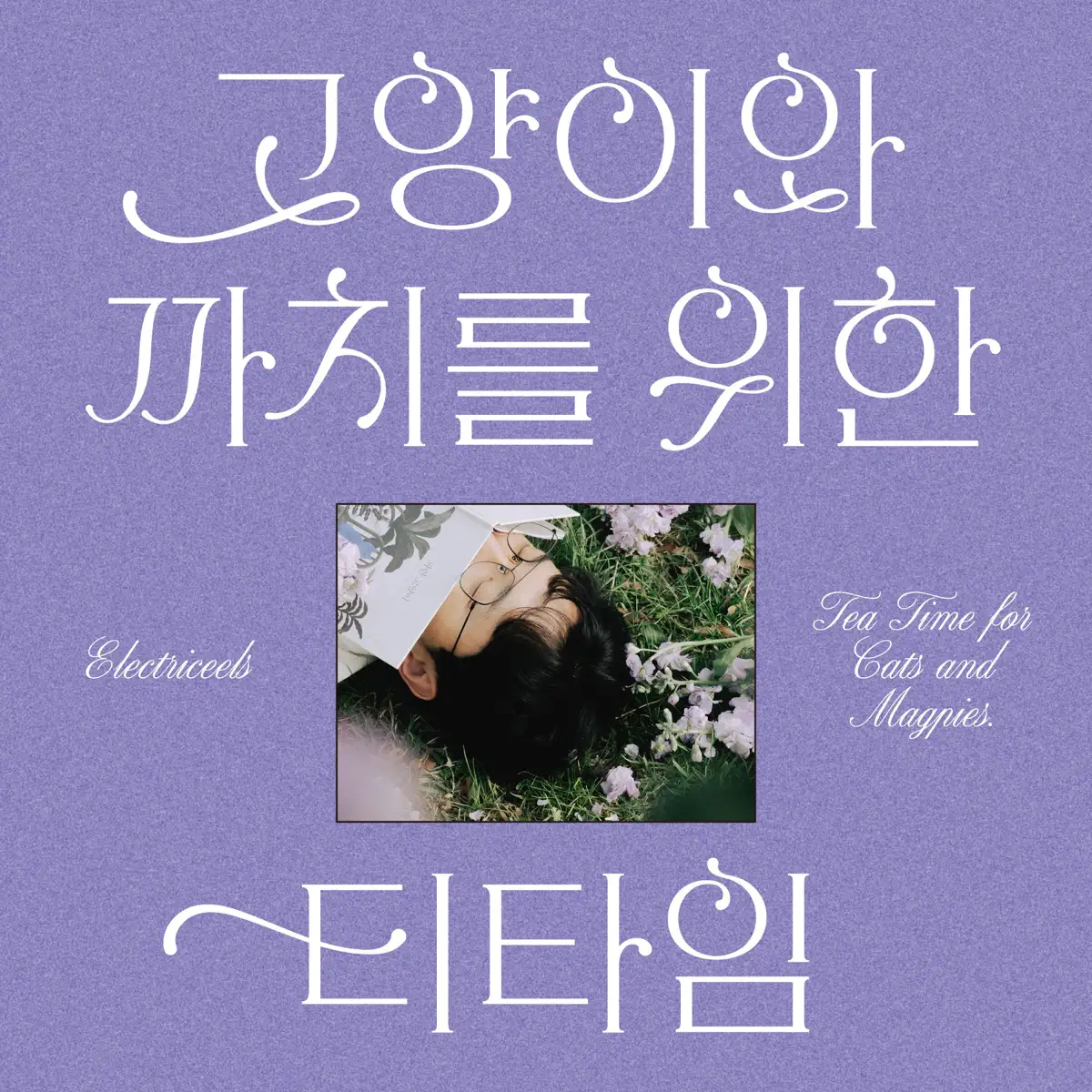 Electriceels - Tea Time for Cats and Magpies - Single (2024) [iTunes Plus AAC M4A]-新房子