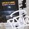 Sunday Fraise - Paco Rabatte & The True Beats lyrics