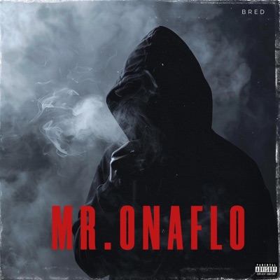 Mr.onaflo - Single