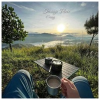 Strange Place - Single - EMMY