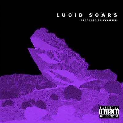 XYamber - Lucid Scars