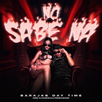 No Sabe Na - Single - Dj Prins Chicago, Dj Pancho & Barajas Day Time