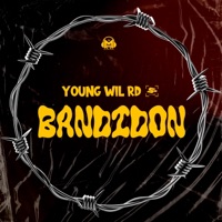 Bandidon (feat. youngwil rd) - Single - MykyMoneyRecords