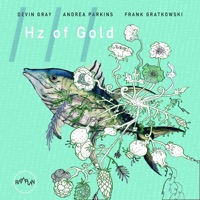 Hz of Gold (feat. Andrea Parkins & Frank Gratkowski) - Devin Gray