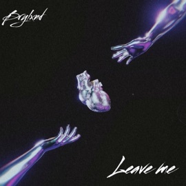 Leave Me! (DJ. LONEE Remix Jersey Club) brylxnd